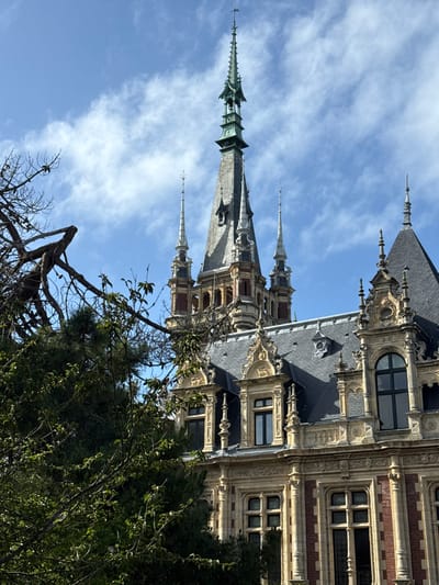 The image captures a detailed, upward-looking view of a grand, ornately decorated building, presented with a vertical orientation (rotated 90 degrees clockwise). The architecture is a blend of Gothic Revival and Renaissance Revival styles, featuring multiple prominent spires and elaborate embellishments.
The building's roof consists of dark, steeply pitched slate tiles, from which several slender spires rise. These spires vary in height and design, some exhibiting intricate finials and tiered sections. The facade displays a rich contrast between reddish-brown brickwork and extensive light-colored stone ornamentation, including decorative window frames, pilasters, balustrades, and other carved details. Arched and rectangular windows with visible mullions are integrated into the design.
In the foreground, the branches and foliage of several trees partially obscure the lower and right sections of the building. The background is a clear blue sky with scattered, wispy white clouds, indicating bright daytime conditions. No people or activities are visible. Based on the provided context, the building is the Palais Bénédictine in Fécamp, France.