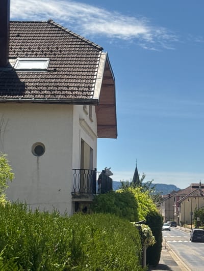 A street scene in Coteaux du Lizon, France, under a clear blue sky with scattered white clouds. The foreground is dominated by a dense, green hedge. Behind the hedge, a white building with a dark tiled roof and a dormer window is partially visible. A round window is set into the building's facade, and a balcony with a black metal railing overlooks the street. A statue of a cow's head with horns is positioned on top of a dark wooden structure on the balcony. Across the street, a paved road with a pedestrian crossing leads through a residential area lined with buildings. Several cars are visible on the road, and a church spire rises in the distance. The overall scene suggests a sunny day in a French town.