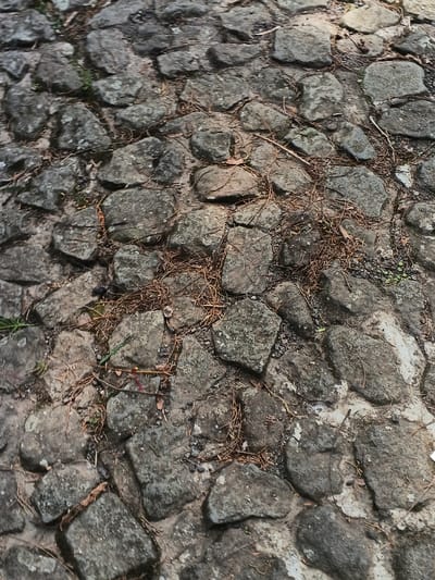A ground-level perspective reveals a closely packed arrangement of gray stones, forming a textured surface. Scattered dried pine needles and small twigs are strewn throughout, adding a touch of organic debris to the scene. The stones vary in size and shape, creating a naturally uneven pattern. Hints of moss or lichen are visible on some stones, suggesting age and exposure to the elements.