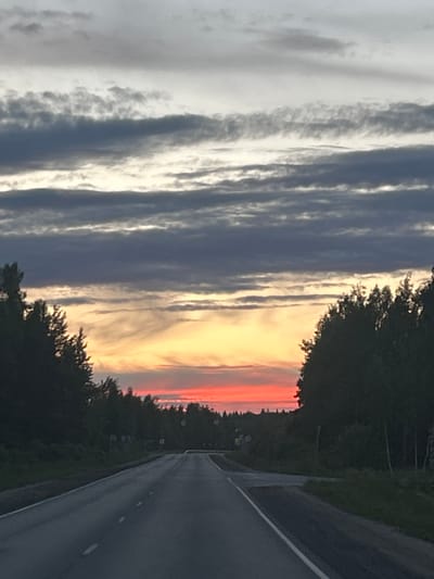 The image depicts a sunset scene along a road in Новогуслево, Russia. The sky is filled with layered clouds, with the lower portion exhibiting vibrant hues of orange, yellow, and red, indicative of sunset. Dark silhouettes of trees line both sides of the asphalt road, which recedes into the distance. The road has white lane markings. There are no people or vehicles visible in the scene. The environment appears to be rural or semi-rural.
