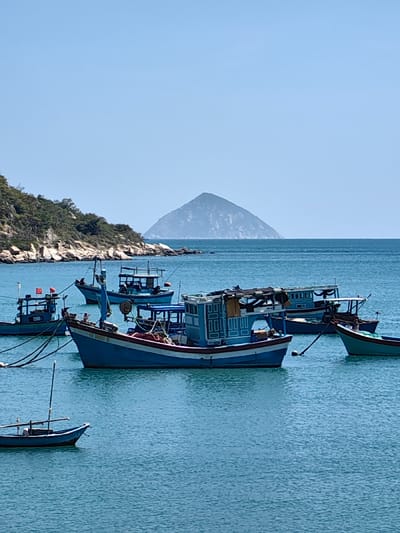 Several vibrant blue fishing boats are moored in a tranquil, light-blue sea. The boats are of varying sizes, some with intricate window detailing. A low, rocky coastline with green vegetation stretches along the left, contrasting with a symmetrical, pyramid-shaped mountain in the distant horizon. The sky is clear and light blue.
