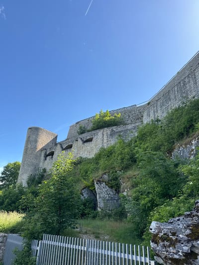 The image depicts the ruins of a castle wall and a round tower situated on a rocky, overgrown hillside under a clear blue sky. A faint white contrail from an airplane is visible in the sky. The stone construction of the castle appears aged, with some sections showing damage and vegetation growing around and on the structure. Dense green foliage covers the lower parts of the hillside and encroaches on the castle walls. In the foreground, a white metal fence with vertical slats is partially visible, along with some rocks covered in moss. The scene is captured from a low angle, looking upwards towards the imposing structure. The location is identified as the Hohenneuffen Castle in Neuffen, Germany.