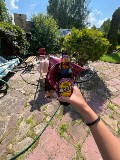 In Вельяминово, Russia, a person's hand holds a bottle of Chester's Original Cherry beverage. The bottle is brown glass with a purple and yellow label featuring the Chester's logo and text indicating "CHERRY". The bottle is positioned in the foreground, obscuring part of a red plastic chair and a straw hat placed on a small wooden table. Behind the table, a swing set with a striped cushion is visible. The ground is paved with irregular, light-colored stones, with patches of green grass growing between them. A green garden hose snakes across the paving stones. In the background, lush green trees, bushes, and solar panels are visible under a bright blue sky with scattered white clouds. The scene appears to be a backyard setting on a sunny day.