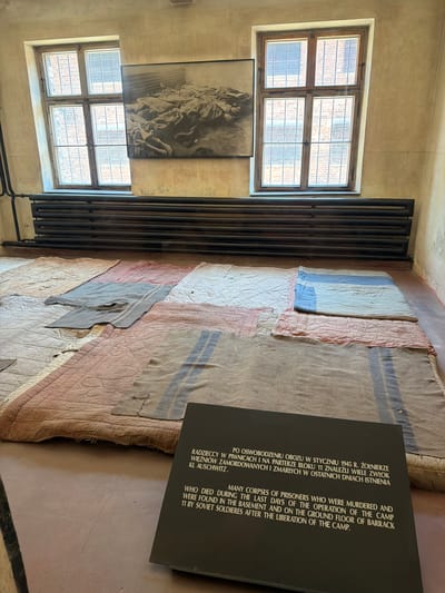 The image shows a room within a building in Oświęcim, Poland, likely part of the Auschwitz-Birkenau Memorial and Museum. The room has two tall, multi-paned windows with bars on the exterior, revealing brick walls behind them. Below the windows are dark, ribbed radiators.
The floor is covered with a patchwork of blankets and quilts in various muted colors, including pink, beige, and grey. Some of these textiles show signs of wear, with rips and frayed edges.
On the wall, above the radiators and spanning between the windows, is a framed black-and-white photograph depicting a pile of emaciated bodies.
In the foreground, a black informational plaque is positioned on the floor, angled towards the viewer. White text on the plaque, in both Polish and English, describes the discovery of murdered prisoners' corpses in the basement and on the ground floor of Barrack 11 after the camp's liberation by Soviet soldiers in January 1945. The English text reads: "MANY CORPSES OF PRISONERS WHO WERE MURDERED AND WERE FOUND IN THE BASEMENT AND ON THE GROUND FLOOR OF BARRACK 11 BY SOVIET SOLDIERS AFTER THE LIBERATION OF THE CAMP."