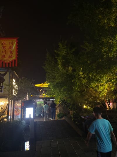 In Wuhou District, China, at night, a street scene unfolds under the illumination of various light sources. A red and yellow banner hangs on the left, featuring Chinese characters. To its right, a cluster of lush green trees is bathed in warm, yellow light, creating a vibrant contrast against the dark sky. In the background, traditional Chinese architecture with yellow, tiled roofs is visible, adorned with decorative elements. A panda mascot is present on the facade of one building.
The foreground shows a paved walkway leading towards the illuminated buildings. Two individuals, a woman in a green shirt and a man in a dark shirt, walk away from the camera towards the entrance of a building. Further to the right, a young man wearing a turquoise t-shirt and dark shorts is walking away from the camera, his back to the viewer. The environment appears to be an entertainment or dining district, indicated by the signage on the buildings and the general ambiance of the street.