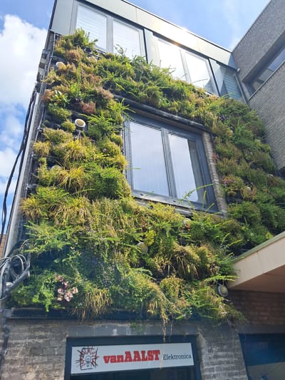 This is a medium shot of a vertical garden covering a brick and glass building facade. The garden is densely packed with various green and yellow plants, interspersed with small purple flowers and some reddish-brown foliage. Several small, round lights are visible within the garden, illuminating the plants. Two windows are visible on the building, one with a dark frame and reflecting the sky. On the right side of the image, a white sign with red text reads "van AALST Elektronika". Below the sign, there's a stylized drawing of a lightbulb with radiating lines. The sky is blue with white clouds, suggesting it is daytime and the weather is fair. The image is taken from a low angle, looking upwards at the building. The overall scene conveys a modern, eco-friendly architectural design in Veghel, Netherlands.