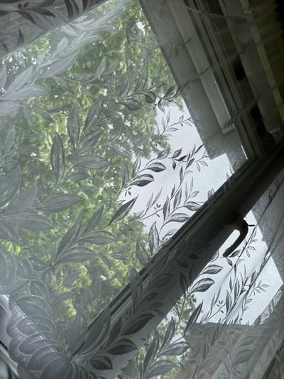 The image presents an interior view looking outwards through a window, draped with a sheer white curtain featuring an intricate grey-green leaf pattern. The translucent fabric filters bright daylight, creating soft shadows and highlights across its folds and textured surface.

Behind the curtain, the structure of a window frame is discernible, and a light-colored, curved window handle is prominently visible in the upper right quadrant. Horizontal blinds or shades are also faintly visible through the upper section of the curtain, indicating multiple layers of window treatment.

Beyond the window and curtain, a dense array of vibrant green foliage from trees dominates the outdoor scene, suggesting a lush garden or a natural, residential setting. The bright, diffused illumination indicates it is daytime, likely morning or afternoon, with the sun's light softened by the curtain. The scene evokes a sense of calm and privacy, connecting the indoor space with the natural environment outside. No specific activity is occurring, nor are there any people or discernible text. The setting is a room in Hazlemere, United Kingdom.