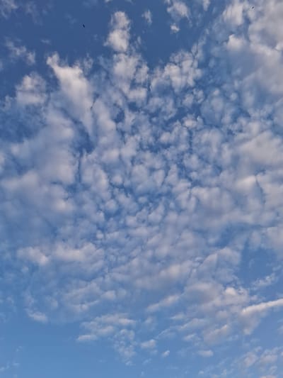 The image shows a view of the sky. The sky is mostly blue, with numerous small, puffy white clouds scattered across it. In the lower left corner, there's a small, dark shape resembling a bird in flight. The clouds appear to be at varying distances. The location is Амзя, Russia.