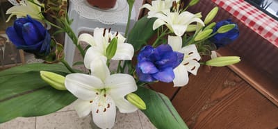 The image displays a bouquet of white lilies and vibrant blue flowers, possibly dyed or a different species, arranged with lush green leaves. Some lilies are fully bloomed, showcasing their delicate white petals and brown stamens, while others appear as green buds. The blue flowers are more tightly furled, with visible purple and blue hues. The bouquet is placed on a textured, light-colored surface that appears to be tiled, with a darker patterned rug or mat beneath some of the foliage. In the background, a portion of a light-colored wooden table or furniture is visible, adorned with a red and white checkered tablecloth. To the left of the bouquet, a framed picture of a man in a hat and suit is partially visible, and behind the flowers, a white lace doily is seen on a light blue chair or stool. The overall setting suggests an indoor environment, likely a home, and there are no discernible individuals actively engaged in any actions within the frame. The image is taken from a top-down perspective. The location specified as Sderot, Israel, is not visually identifiable from the provided image content.