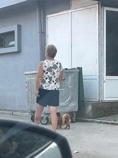 In Byala Slatina, Bulgaria, a woman with short, curly brown hair, wearing a floral-patterned sleeveless blouse and dark shorts, stands with her back to the camera. She is positioned to the left of a large, silver dumpster and to the right of a light blue building with a square window. A small, fluffy, light brown dog with a bushy tail is walking to the right, near the dumpster and behind the woman. The scene appears to be an outdoor urban or semi-urban setting with a concrete ground surface and a building in the background.