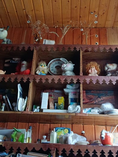 The image depicts a rustic wooden shelf filled with various decorative objects and trinkets. The shelves are made of dark wood with intricate carved detailing along the edges, suggesting a handcrafted or vintage aesthetic.

On the top shelf, a pale green stuffed figure with large ears is visible on the left. To its right, a dried floral arrangement featuring small white flowers and some darker elements sits in a vase.

The second shelf down is divided into compartments. In the leftmost compartment, a black book with "Chantal" written in white script is propped up, with a red-and-white stuffed toy behind it. The next compartment holds a smiling cartoonish yellow bird figurine with a beard and blue overalls. Next to that is a circular object resembling a clock face with a brown, segmented design. In the far right compartment of this shelf, a round, pale-skinned figurine with orange, curly hair and a smiling expression is placed. To its right, a brown teddy bear with large ears and a protruding jaw is visible.

The third shelf is also divided into compartments. The leftmost compartment contains various books, papers, and what appears to be a white folder or notebook. A small, white turtle figurine rests on the shelf in the middle of this compartment. The middle compartment contains several stacked boxes and packages, including one with a yellow background and text. To the right of these, a small white figurine of a bird is perched. The rightmost compartment displays a landscape painting with horses or similar animals in a desert-like setting.

The bottom shelf holds a variety of bottles and other items. A bright green frog-shaped object is on the left, followed by several glass bottles of different sizes and colors. A small black bottle and a clear container with a white lid are also present. On the far right, an orange ceramic holder shaped like an apple is filled with blue and white straws, and a small white figurine sits inside.

The background is composed of vertical wooden planks, typical of a cabin or rustic interior. The overall scene suggests a collection of personal items displayed in a home environment.

The image is located in Alferovo, Russia.