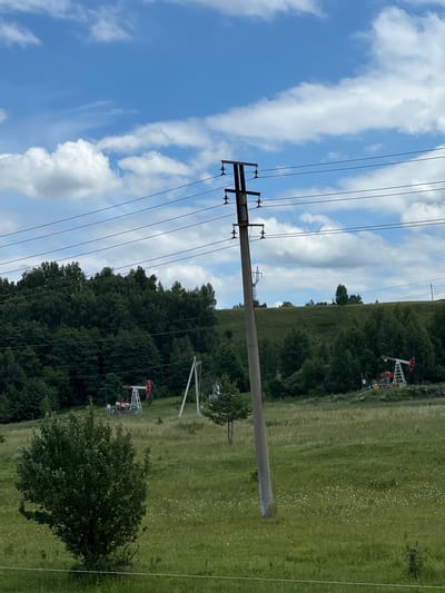 This is a landscape photograph taken in Alexandrovka, Russia, under a partly cloudy blue sky. In the foreground, a large, weathered concrete utility pole stands vertically, leaning slightly to the right. Multiple power lines extend horizontally from the pole across the frame. To the left of the pole, a dense, leafy green tree dominates the lower left quadrant of the image. The middle ground consists of a grassy field dotted with small white wildflowers. In the distance, a rolling, tree-covered hill forms the backdrop. Two red and white oil pumpjacks are visible in the middle ground, one on the left and another further to the right. The oil pumpjacks appear to be stationary and in operational positions. The environment suggests a rural or semi-rural setting, likely related to the oil industry.