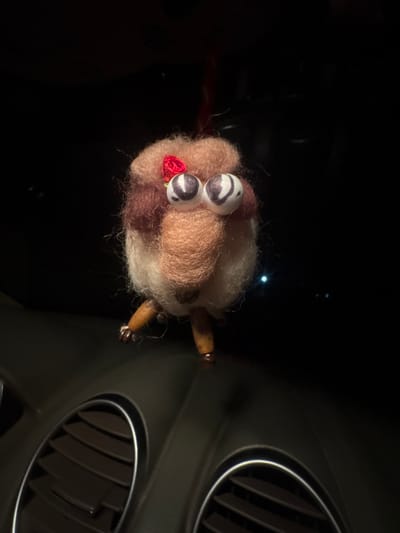 A handcrafted felted wool ornament is centrally positioned within a vehicle's interior. The ornament features a rounded body, primarily light beige and reddish-brown wool, with distinct white, oval-shaped "googly eyes" containing dark spiral pupils. A prominent, elongated beige wool "nose" protrudes from its front. A small, red, rose-shaped fabric embellishment is attached to the top of its head, slightly left of center. Two thin, dark wooden appendages, possibly legs, with small dark beads at their ends, hang from the bottom. The ornament is suspended, likely from above, as indicated by a thin, dark thread visible at the top. The immediate environment consists of a dark-colored vehicle dashboard, visible below the ornament, featuring two circular air vents with horizontal slats and silver-colored trim rings. The background above and around the ornament is dark, suggesting low light conditions, possibly nighttime. Minor, indistinct light reflections or distant light sources are observable in the dark background. The specific location within Momkovo, Bulgaria, is not discernible from the visual information provided.
