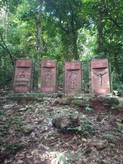 The image displays four religious stone plaques or steles arranged in a row within a dense, sun-dappled forest, located in Villarrica, Paraguay. Each plaque features a carved relief depicting a biblical scene and accompanying Spanish text. The plaques appear to be part of a Stations of the Rosary path or a similar devotional trail.

From left to right:
1.  The first plaque is titled "QUINTO MISTERIO DE LUZ" (Fifth Mystery of Light) and "LA EUCARISTÍA" (The Eucharist). The relief shows Jesus at a table with disciples, and the text below reads: "DURANTE LA CENA TOMÓ PAN, DIJO: TOMAD, COMED, ESTO ES MI CUERPO. Y TOMANDO EL CÁLIZ DIJO: ESTA ES MI SANGRE."
2.  The second plaque is labeled "QUINTO MISTERIO GOZOSO" (Fifth Joyful Mystery) and "JESÚS PERDIDO Y HALLADO EN EL TEMPLO" (Jesus lost and found in the Temple). Its relief depicts a young Jesus with adults in a temple setting, with text stating: "AL CABO DE TRES DÍAS LO ENCONTRARON EN EL TEMPLO."
3.  The third plaque is marked "QUINTO MISTERIO DOLOROSO" (Fifth Sorrowful Mystery) and "LA CRUCIFIXIÓN Y MUERTE DE JESÚS" (The Crucifixion and Death of Jesus). The relief shows Jesus on the cross, with the text: "JESÚS CON UN GRITO EXCLAMÓ: PADRE EN TUS MANOS ENCOMIENDO MI ESPÍRITU."
4.  The fourth plaque is titled "QUINTO MISTERIO GLORIOSO" (Fifth Glorious Mystery) and "LA CORONACIÓN DE MARÍA COMO REINA DEL CIELO Y DE LA TIERRA" (The Coronation of Mary as Queen of Heaven and Earth). The relief shows Mary being crowned, with the text below reading: "UNA MUJER VESTIDA DE SOL CON LA LUNA BAJO SUS PIES Y UNA CORONA DE DOCE ESTRELLAS EN SU CABEZA."

The plaques are embedded in stone bases on a forest floor covered with fallen leaves, rocks, and green undergrowth. Sunlight filters through the thick tree canopy, creating a dappled light effect, indicating a bright daytime setting. A large, gnarled root or piece of wood is visible in the foreground. The scene evokes a sense of peace and religious contemplation within nature.