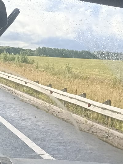 This image captures a roadside scene in Zasechnoe, Russia, likely during the daytime, judging by the bright, overcast sky. The foreground shows a wet asphalt road with a white lane marking. To the right of the road, a guardrail with red reflective markers runs along the edge. Beyond the guardrail, a field of dry, golden grass meets a line of dense green trees in the distance. The sky is filled with white, puffy clouds, and the presence of water droplets on what appears to be a windshield or window in the foreground suggests it has recently rained or is still drizzling. There is no visible text in the image. The overall impression is one of a slightly damp, rural landscape viewed from a moving vehicle.