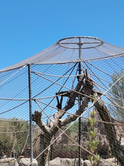 This image depicts a large outdoor animal enclosure, likely at a zoo or wildlife park, under a clear, bright blue sky. The enclosure features a prominent domed or conical structure made of a fine mesh net supported by metal poles and an intricate network of thick ropes and sturdy, bare tree branches. These elements are designed to provide climbing and perching opportunities for animals, although no animals are clearly visible within the enclosure. A dark, indistinct shape can be seen among the branches, which could be an animal.
The netting extends upwards to form a broad, circular canopy, with several ropes stretching from the central wooden structure to the outer frame and ground level. Several vertical metal poles provide structural support for the netting. In the foreground, slightly out of focus, is a sprout with light green leaves.
In the background, outside the enclosure and beyond the netting, are various trees and shrubs, some with rocky terrain. Two blurred human figures are visible in the lower-left portion of the background, suggesting people are observing the enclosure.
The scene takes place during bright daylight, indicated by the vibrant blue sky and the clear, shadow-casting illumination. The weather appears sunny and calm. There is no visible text in the image. The location context is Tepebaşı, Turkey.