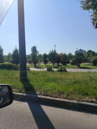 The image depicts a sunny day in a park setting in Salihorsk, Belarus. In the foreground, a paved road is visible with a dark curb and a patch of grass and small yellow flowers. A tall, dark pole with metallic bands around its base stands to the left, casting a shadow on the road. A car's side mirror is reflected in the lower left corner. Behind the curb, a grassy area transitions into a paved walkway with benches. Several trees, including coniferous and deciduous varieties, are scattered throughout the park, some of which appear to be manicured. In the background, a building with a dark roof and white walls is visible amongst more trees. Two street lamps are also present in the park. The sky is clear and blue.