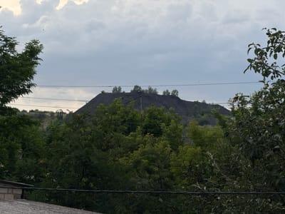 The image depicts a desolate landscape dominated by a large, dark slag heap in the background, likely situated near Seleznivka, Ukraine, a region known for its mining industry. The slag heap, a conical mound of black material, rises prominently against a cloudy, overcast sky. Small trees are sparsely scattered across its slopes. In the foreground, dense, lush green foliage from trees and bushes obscures much of the lower portion of the scene. Power lines traverse the midground, crisscrossing the view and further dividing the composition. A portion of a simple, grey, corrugated roof and a low-lying structure made of concrete blocks are visible in the bottom left corner, suggesting human habitation or infrastructure in the vicinity. The overall impression is one of a somewhat industrial and natural environment coexisting, with the slag heap serving as a stark reminder of past or ongoing industrial activity. No people or animals are visible in the frame.