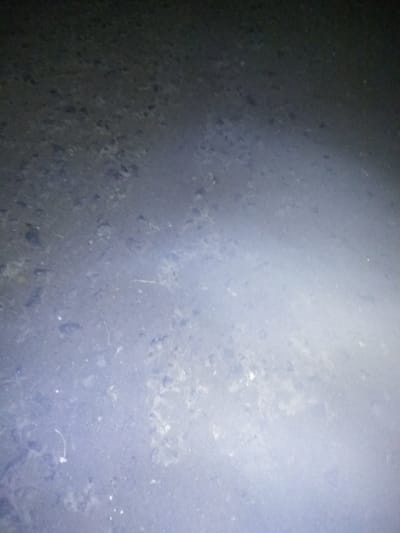 The image depicts a close-up view of a rough, dark, and somewhat uneven surface, likely ground. The surface appears to be composed of small stones, dirt, and possibly debris. There are areas of lighter, brighter texture interspersed with darker, more concentrated patches. In the lower right portion of the image, a bright, diffused light source creates a hazy effect, obscuring details. The overall impression is of an outdoor environment, possibly a road, pathway, or unpaved area. The location is identified as Novosamarka, Ukraine, suggesting this is a scene from that region. There are no visible people, animals, or discernible structures. The image focuses solely on the texture and composition of the ground surface.