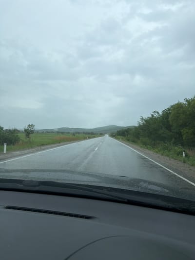 The image, captured from inside a vehicle, depicts a wet asphalt road extending into the distance under an overcast sky. The perspective is looking forward from the driver's or passenger's seat. The road surface gleams with moisture, reflecting the light from the sky, indicative of recent or ongoing rainfall. Faint white road markings are visible on the damp pavement.
To the left of the road, a dense row of green trees lines the route, beyond which lie expansive green fields. In the hazy distance, a large, undulating hill or mountain range emerges, its contours softened by the cloudy conditions. A small white roadside marker with a red top is subtly visible amidst the greenery on the left.
Sections of the vehicle's dark gray dashboard and windshield frame occupy the lower edges of the frame. The sky is entirely covered by a blanket of light grey clouds, creating a uniformly overcast atmosphere. The scene conveys a sense of travel through a rural or natural landscape during damp, cloudy weather. There are no visible people or discernible text. The location context for this scene is Бабстово, Russia.