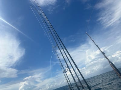 The image captures an open ocean scene, identified as being within the Wollongong City Council area of Australia. The perspective is low, looking upwards and outwards from a vessel. Dominating the foreground and midground are at least five dark-colored fishing rods angled upwards and to the right, with visible fishing lines extending towards the water. The sky, occupying the majority of the frame, is a clear bright blue with scattered white cumulus clouds. A pronounced lens flare, indicative of direct sunlight, is present in the upper left quadrant. The lower right portion of the image reveals dark blue, choppy ocean water with visible surface texture. A small, light-colored vessel is faintly discernible on the distant horizon line on the water. No individuals are visible.