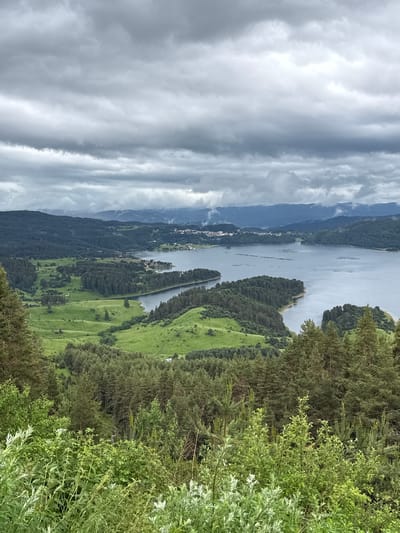 The image captures a scenic vista of the Dospat Reservoir in Dospat, Bulgaria, under a dramatic, overcast sky. The foreground is dominated by lush green foliage, with various plants and trees. As the view recedes, rolling hills covered in dense, dark green coniferous forests are visible, interspersed with patches of vibrant green meadows. The reservoir itself occupies a significant portion of the mid-ground and background, its calm, blue-grey water reflecting the cloudy sky. Along the far shore and scattered on peninsulas jutting into the water are small clusters of buildings, indicative of the town of Dospat. In the distance, layers of mountains fade into the haze, their peaks obscured by the low-hanging clouds. The overall atmosphere is serene and natural, characterized by the interplay of water, forest, and sky.