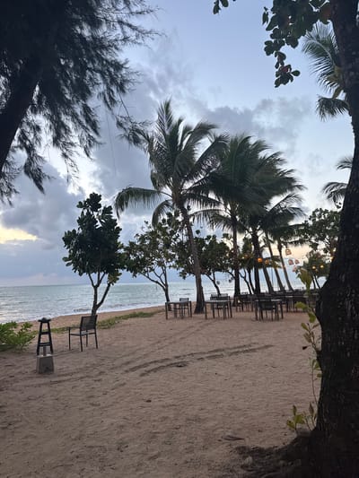 The image depicts an outdoor dining area on a sandy beach at dusk. Palm trees and other foliage frame the scene. In the foreground, the sand is textured with tire tracks. To the left, a single black chair sits beside a concrete base with a black stand. Further back, a row of tables and chairs is arranged on the sand, facing the ocean. String lights with decorative bird cages are visible hanging between the palm trees in the background. The sea is calm with gentle waves, and the sky is cloudy with hints of yellow and orange from the setting sun. The location is identified as Ban Bang Niang, Thailand.