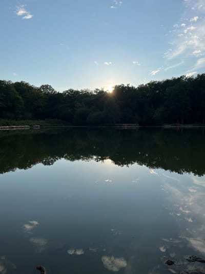 The image depicts a tranquil lake at dusk, situated in Sonchamp, France. The water's surface acts as a mirror, reflecting the surrounding dense forest and the pale blue sky dotted with wispy clouds. The sun, low on the horizon, peeks through the trees, casting a warm glow and creating a silhouette of the forest against the sky. The water is calm, with only slight ripples disturbing the perfect reflection. The foreground shows a few scattered rocks and a piece of wood on the bank, hinting at a natural, undeveloped shoreline. In the distance, two figures, possibly on the far bank, are barely discernible against the dark trees, adding a subtle human element to the serene natural landscape.