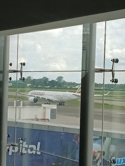 The image depicts an exterior view of an airport tarmac observed through a multi-paned glass window, supported by grey structural columns and silver spider fittings. In the mid-ground, a white Ethiopian Airlines Airbus A350-900 aircraft, registration ET-AYP, is stationary on the grey asphalt tarmac. The aircraft's fuselage prominently displays "Ethiopian" in red text, and its tail features the green, yellow, and red colors of the Ethiopian flag. A white passenger jet bridge is positioned to the left of the aircraft. The immediate area surrounding the tarmac consists of green grass, with a distant line of green trees visible on the horizon beneath an overcast sky with scattered clouds. Reflections on the lower sections of the glass reveal partial text, specifically "pital" and "Lux," along with several indistinct human figures inside the terminal building. The scene is located at Robert Gabriel Mugabe International Airport in Harare, Zimbabwe.
