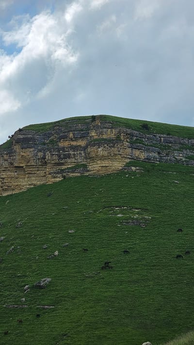 The image shows a rocky cliff face covered in green grass, under a cloudy sky. Several horses are grazing on the grassy slopes of the cliff. The scene appears to be a natural landscape. The prompt mentions the city of Красный Курган, Russia, but there are no identifying markers in the image to confirm this location.