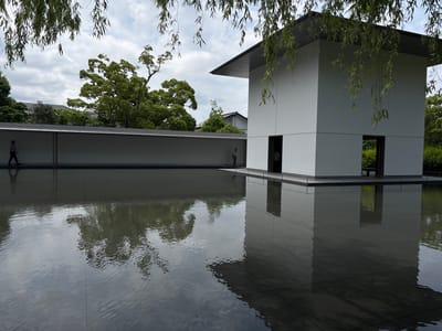 This image captures the D.T. Suzuki Museum in Kanazawa, Japan, a minimalist architectural complex featuring a prominent reflecting pool under an overcast sky. A stark white, two-story, cuboid building with a dark, flat, overhanging roof occupies the right side of the frame. This building has large, dark, rectangular openings on its visible facades, one of which shows a partially obscured individual's silhouette inside. Another person is standing near the building's exterior entrance on the far side of the pool, wearing a light-colored shirt and dark trousers.
A large, dark reflecting pool fills the foreground and mid-ground, its surface characterized by slight ripples that distort reflections but clearly show the white building, the cloudy sky, and surrounding foliage. The pool's base is tiled with dark square pavers. Extending horizontally across the mid-ground on the left is a long, low, white wall with a dark coping. A person is seen walking from left to right along a path adjacent to this wall, dressed in dark trousers and a light-colored shirt.
The upper edge of the frame is adorned with dark green, elongated leaves from weeping willow branches that hang down into the scene. Beyond the architectural structures and the pool, a dense backdrop of lush green trees is visible, with a particularly large, full tree dominating the left background. The sky is predominantly grey and cloudy, indicating an overcast day.