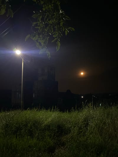 A nighttime exterior shot captures a dimly lit scene dominated by tall, green grass in the foreground. A single, brightly lit street lamp stands to the left, casting a strong glare. In the middle ground, a dark, multi-story building with visible windows appears weathered and somewhat derelict. Further in the background, a hazy, orange-hued moon hangs in the dark sky, partially obscured by clouds or atmospheric conditions. The overall environment suggests an outdoor urban or semi-urban setting in Negrești, Moldova.