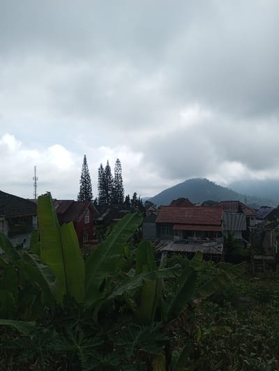 An elevated view depicts a residential area in Kondha, India, under a heavily overcast sky. The foreground is dominated by large, dark green banana leaves with visible moisture droplets, interspersed with other dense green foliage. In the midground, numerous single and multi-story houses are visible, featuring pitched roofs constructed from red clay tiles and corrugated metal. A prominent two-story red house with white-framed windows is situated towards the left-center. To the left, a tall, slender communication tower rises above the rooftops. A cluster of several tall, thin coniferous trees is positioned centrally behind the houses. The background features rolling mountains or hills, partially obscured by clouds or atmospheric haze. No individuals or specific actions are visible within the scene.