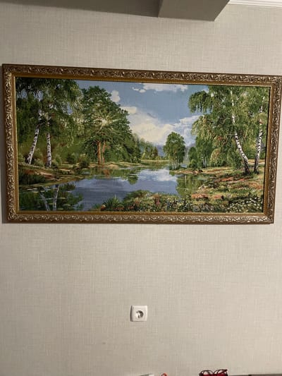 A framed tapestry depicting a serene landscape hangs on a textured, light-colored wall. The tapestry features a tranquil lake reflecting trees, with birch trees prominently in the foreground. The scene is illuminated by sunlight filtering through the leaves. Below the tapestry, a white electrical outlet is visible on the wall. The overall setting appears to be an indoor environment, possibly a home, in Bolshaya Martynovka, Russia.