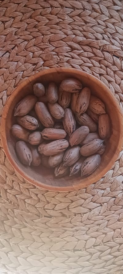 A circular, light brown wooden bowl rests centrally on a woven mat composed of natural, beige-brown fibers, arranged in a diagonal or herringbone pattern. The bowl contains numerous whole, shelled pecans. Each pecan is ovoid, featuring a light to medium brown shell with irregular, darker longitudinal striations. No individuals are present, and no actions or interactions are depicted. The scene is evenly illuminated. This image depicts a scene located in Forest Hills, Spain.