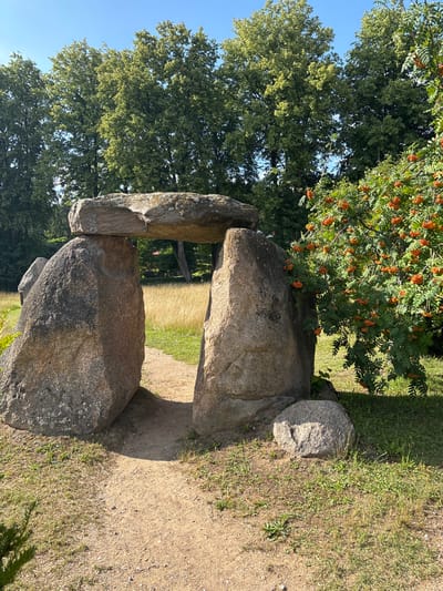 The image depicts a natural outdoor scene in Talkowszczyzna, Poland. In the foreground, a passage is formed by two large, weathered, grey stones on either side, topped by a horizontal, flat grey stone, creating a dolmen-like structure. The ground in front of the passage is a dirt path, with dry grass and some green vegetation on either side. To the right of the passage, a tree with bright orange berries and green leaves is in full bloom. In the background, a line of tall, lush green trees stretches across the frame under a clear blue sky. The scene is illuminated by natural sunlight, casting shadows on the ground. There are no people visible in the image.