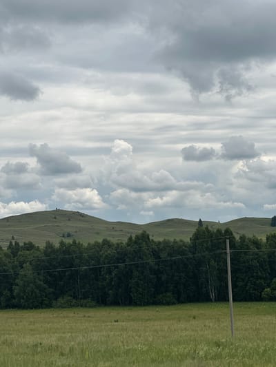 The image depicts a rural landscape under a cloudy sky. In the foreground, a field of tall, green grass stretches across the bottom half of the frame, with some lighter yellow stalks visible amongst the green. A single, gray utility pole stands in the right portion of the field, with two thin wires extending horizontally from it. Behind the field, a dense line of dark green trees forms a backdrop, with the tops of some lighter colored trees, possibly birch, interspersed within. Beyond the trees, rolling green hills rise, sparsely dotted with small clusters of trees. The sky is filled with a mix of dark gray and white clouds, with the white clouds appearing brighter and more voluminous. The overall impression is one of a natural, somewhat overcast day in a rural setting. This scene is consistent with the natural landscapes found in and around the village of Kuzhanovo, Russia.