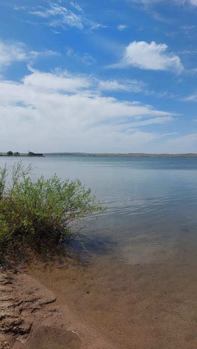 A serene, wide-angle view of a calm body of water under a partly cloudy blue sky, likely the Kapchagay Reservoir near Topar, Kazakhstan. The foreground is dominated by a sandy shore with a dense, leafy green bush on the left, extending into the shallow, clear water. Ripples are visible on the water's surface. In the mid-ground, the vast expanse of the reservoir stretches to the horizon, where a low, undulating treeline and a distant building complex can be seen. The sky is a vibrant blue, dotted with scattered white clouds, some wispy and others more substantial, reflecting faintly on the water. The overall impression is one of tranquility and natural beauty.