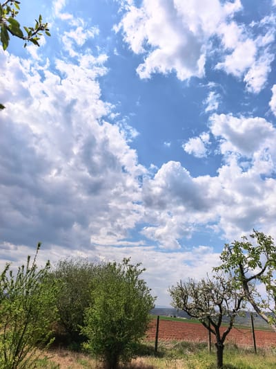 The image captures a vibrant rural landscape in Krainitsi, Bulgaria, under a dynamic daytime sky. The upper portion of the frame is dominated by a bright blue sky interspersed with numerous fluffy white and light grey cumulus clouds, varying in size and density. Patches of clear blue sky are visible, particularly towards the center and upper left. Small branches with fresh green leaves extend into the frame from the top left corner.

The lower third of the scene features a mix of vegetation and agricultural land. On the left, a dense mass of green shrubs or bushes with new leaves creates a lush foreground and midground. To the right, two trees are prominent. One, closer to the center-right, is a fruit tree covered in delicate white blossoms, indicating springtime. Adjacent to it, another tree with vibrant green foliage is partially visible along the right edge of the frame.

Between the trees and extending towards the background is a section of reddish-brown, freshly tilled agricultural land. The foreground beneath the trees and shrubs is covered with dry, yellowish-brown grass. Two rustic wooden fence posts are discernible near the fruit trees, suggesting a boundary or enclosure. In the far background, faint outlines of hills or mountains are visible under a hazy sky. The overall impression is one of natural beauty and tranquility on a bright, partly cloudy day. There is no visible text.