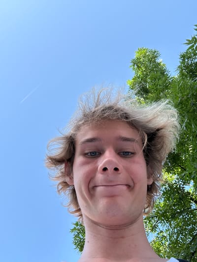 A low-angle selfie features a person with light blonde, tousled hair, looking up at the camera. Their face is framed by the sky and green tree leaves. They have blue eyes and are smiling with their mouth closed, showing a slight dimple. The person is wearing a light-colored shirt, and part of their neck and shoulder are visible. The background consists of a clear blue sky with some distant foliage. A faint contrail from an airplane is visible in the sky. The lighting suggests it is daytime, likely sunny given the brightness of the scene. The overall impression is one of a casual, outdoor moment.