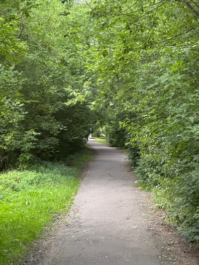 This is a vertical, eye-level shot of a paved pathway through a park or wooded area in Dedovsk, Russia. The path is bordered on both sides by dense, green foliage, creating a tunnel-like effect. The path itself appears to be made of asphalt and shows some signs of wear and tear, with cracks and debris visible on its surface. The grass to the left of the path is lush and green, with some patches of dirt and litter scattered along the edge. The trees and bushes are full of leaves, indicating it is likely summer or late spring. The lighting suggests an overcast day or shade from the dense canopy. There are no people or animals visible in the frame.