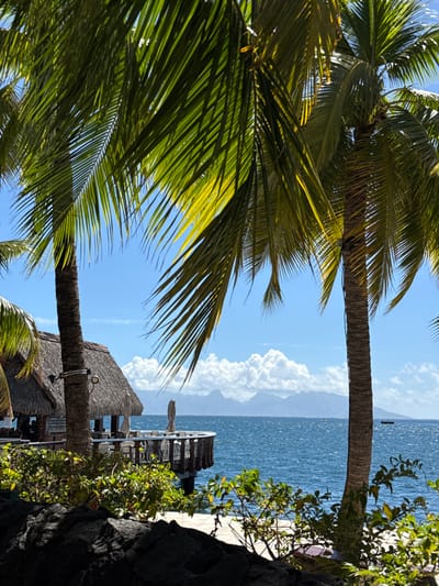 The image displays a tropical coastal scene situated in Papeete, French Polynesia, an overseas collectivity of France. In the foreground, dark, textured volcanic rock outcrops are visible at the bottom left, partially enveloped by green tropical foliage that extends along the lower edge of the frame.

Two tall palm trees with full green fronds frame the central view: one on the left, its trunk partially obscured by a structure, and another on the right, its trunk prominent.

In the midground, an open-air building featuring a traditional Polynesian thatched roof is positioned on the left. This structure extends onto an overwater wooden deck equipped with a dark railing. Several indistinct human figures are visible seated at tables under the thatched roof. A large, folded light-colored beach umbrella stands upright on the deck.

The deep blue ocean water, showing surface ripples, occupies the central and right portions of the midground and background. In the far distance, a range of large, cloud-covered mountains or volcanic islands is discernible across the water. The sky above is a bright blue, accented by scattered white cumulus clouds concentrated above the distant landmasses. Two small, dark-colored boats are visible on the distant ocean surface.