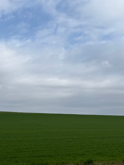 The image shows a view of a green field under a cloudy sky. The field occupies the right side of the frame, and the sky takes up the left side. The sky features a mix of light blue and white clouds. The field appears to be vast and stretches into the distance. There are no people or distinct objects visible in the field. The location is identified as Gradets, Bulgaria, but there are no specific markers to confirm this. The image lacks any discernible actions or interactions. The overall environment suggests a rural or agricultural setting.