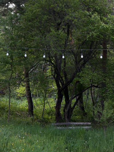 The image shows an outdoor scene in what appears to be a park or natural area, possibly in the vicinity of Lermontovo, Armenia, though this cannot be confirmed from the image alone. Lush green vegetation, including trees and tall grass, dominates the scene. A string of white decorative lights is strung among the trees. There's a structure of metal framework or trellis partially visible amidst the trees. To the right, tall grass is mixed with yellow wildflowers. An old wooden gate is also visible. There are no people visible in the image. The overall impression is a tranquil, natural setting.