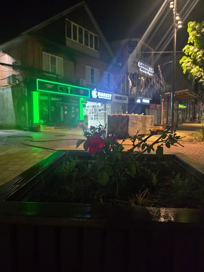 This image depicts a nighttime scene in Khasavyurt, Russia. A dark planter box, overflowing with green foliage and a single red rose in bloom, occupies the right side of the frame. The planter is positioned in front of a building with a dark, possibly wooden, exterior that is mostly out of focus. In the background, a building with a dark facade and multiple windows is visible. A prominent neon sign glows brightly in green, displaying the word "MARKET" vertically, with another sign above it that is partially obscured but appears to have white lettering. Streetlights with multiple bulbs cast long, thin beams of light across the scene. The ground appears to be paved with light-colored bricks. The overall impression is one of a quiet, dimly lit street at night, with the vibrant neon sign providing a focal point. The presence of the rose suggests a touch of nature amidst the urban environment.