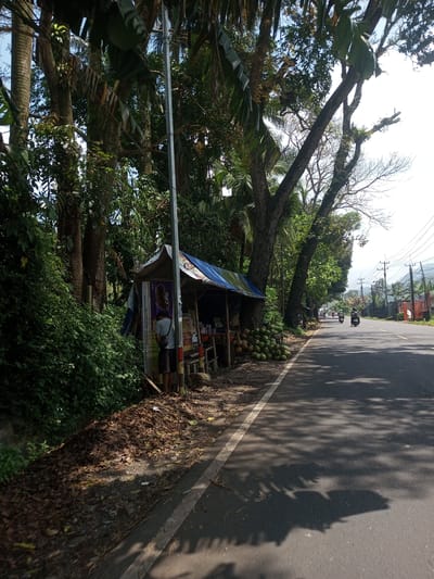 A street scene depicts a roadside fruit stand in a tropical environment, possibly in the vicinity of Nawng Hkar, Myanmar. The stand is a makeshift structure with a blue and striped tarp roof, situated alongside a paved road. A person stands near the stand, possibly a vendor or customer. Piles of green coconuts are stacked near the stand. The road is asphalt and shows tree shadows cast across the surface. In the distance, motorcycles travel along the road. Trees line the roadside, contributing to the tropical setting. Overhead power lines are visible.