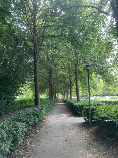 The image depicts a pathway lined with mature trees and manicured hedges, suggesting a park or a well-maintained public area. The pathway is made of gravel or packed earth and is relatively narrow, leading into the distance. On the right side of the pathway, a modern-looking lamppost stands prominently, its design simple and functional. The trees form a canopy overhead, casting dappled shadows on the path, and their lush green foliage indicates a warm season, likely summer. Beyond the trees and hedges on the right, parked cars are visible, suggesting the presence of a parking lot or a road adjacent to the park. On the left side, the vegetation is denser, with layered bushes and trees contributing to the natural, verdant atmosphere. In the far distance, a person can be seen walking along the path, indicating that the area is frequented by individuals. The overall impression is one of a peaceful, shaded walkway within a city environment.
While the image itself does not contain explicit geographical markers that would pinpoint its exact location within Horsens, Denmark, the scene is consistent with common urban park designs found in European cities. The presence of well-established trees, formal hedges, and pedestrian pathways are characteristic of such spaces. The style of the lamppost also aligns with typical public lighting in Denmark. Without further information or context, it is impossible to definitively identify the specific park or street in Horsens, but the imagery strongly suggests a well-developed urban green space.