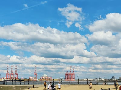 This is a wide shot taken on a bright, partly cloudy day, likely in Wallasey, United Kingdom, featuring a beach in the foreground and a harbor with cranes in the background. The sky is a vibrant blue with scattered, fluffy white clouds and a contrail. In the distance, numerous red and white shipping cranes stand tall against the horizon, alongside buildings and structures that suggest a port or industrial area.

In the foreground, a sandy beach slopes gently upwards. A black metal railing runs horizontally across the middle ground, separating the beach from a walkway or promenade. Several people are visible on the beach. On the left, a man in a black t-shirt and dark shorts stands, looking towards the left. Next to him, a woman in a white t-shirt and dark shorts is kneeling. To their right, another woman in a white t-shirt and dark shorts walks away from the camera, pushing a stroller. Further to the right, a woman in a patterned dress walks towards the left, away from the camera. In the far right of the frame, a man in a gray tank top and dark shorts walks towards the right. Two other individuals are partially visible in the distance on the beach, one in a light-colored garment, and another person is seated. A few scattered items, possibly bags or blankets, are on the sand.

The overall scene depicts a leisurely day at the beach with a working port in the background, highlighting the juxtaposition of leisure and industry.