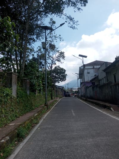 The image depicts a narrow asphalt road in what appears to be a residential area. The road is lined with sidewalks and walls on both sides. Lush green vegetation covers the walls and edges of the road on the left side. Streetlights are intermittently spaced along the road. A few vehicles, including a car and motorcycles, are visible in the distance. The sky is partly cloudy. In the background, a mountain peak is barely visible through the buildings. The image does not include any information to confirm the location as Zeyathiri District, Myanmar.