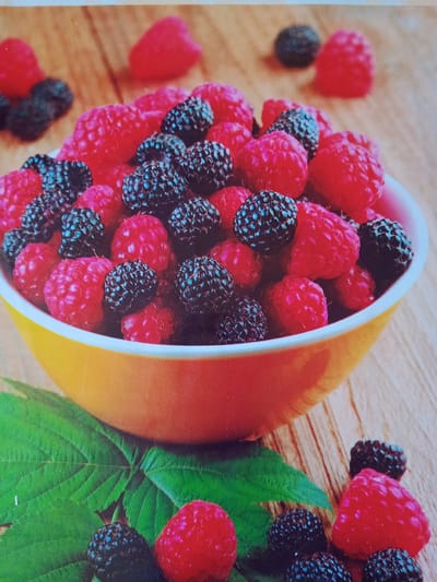 A close-up, overhead shot shows a bright yellow bowl filled with raspberries and blackberries. The bowl is placed on a wooden surface. Several loose berries are scattered around the bowl, along with a large green leaf. The image appears to be a photograph of fruit, not a scene from Beşik-Jon, Kyrgyzstan.